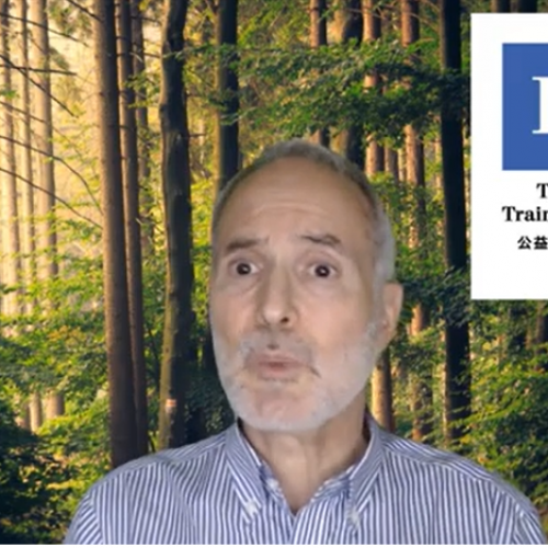 NB社外取教訓１