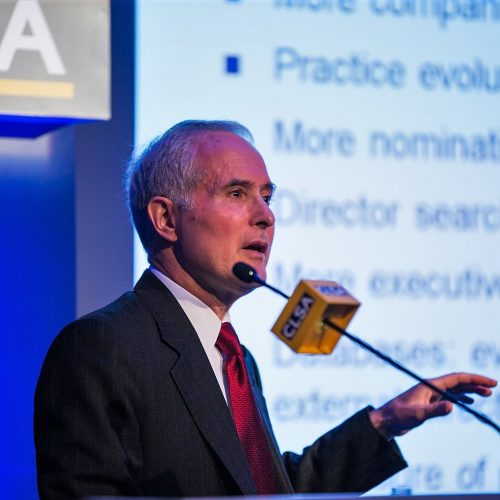 Nicholas Benes speaking on stewardship and governance